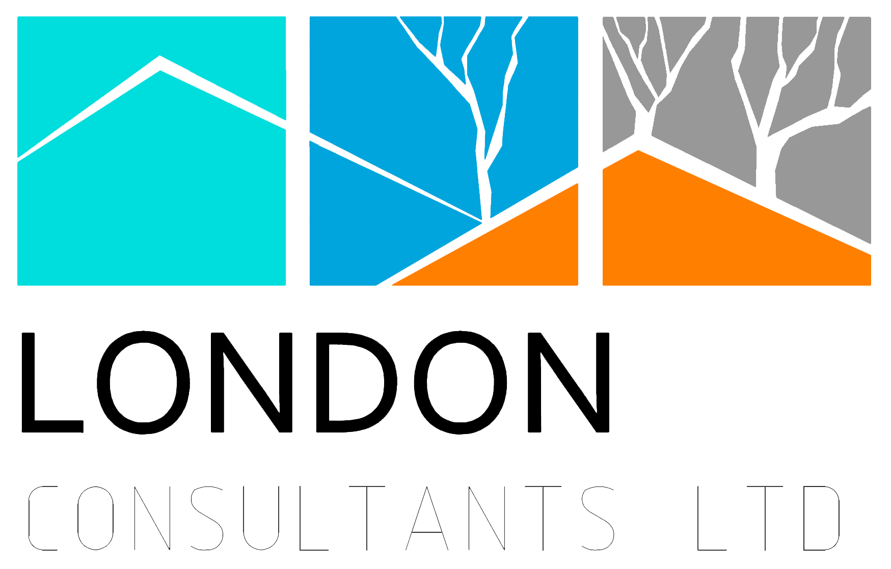 London Consultants Logo small